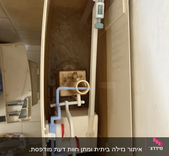 מיכל מים של אסלה עם מנגנון פנימי